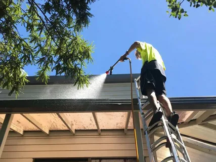 Why Professional Exterior Cleaning Protects Your Home Beyond Curb Appeal